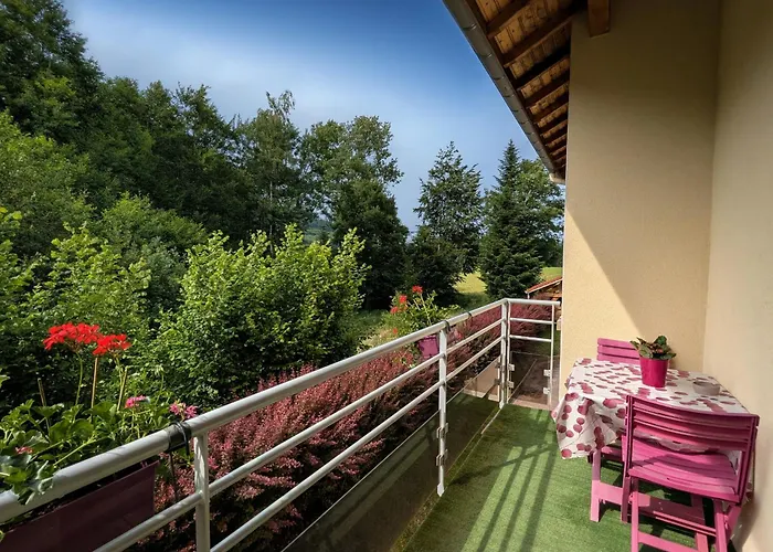 Spacieuse Avec Piscine, Et Hammam - Fr-1-589-721 * Anould